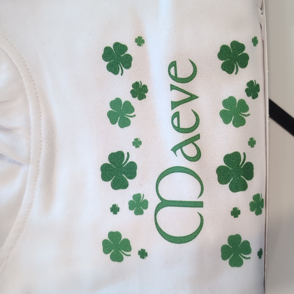 New Maeve Lucky Clover sweatshirt toddler size 2